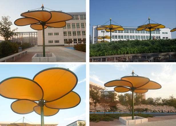 財(cái)貿(mào)學(xué)院葫蘆島景觀膜結(jié)構(gòu)完工成品圖