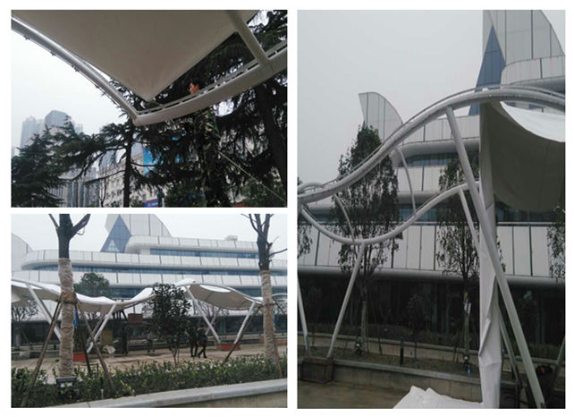 武漢科技館張拉膜景觀棚工程現(xiàn)場施工圖